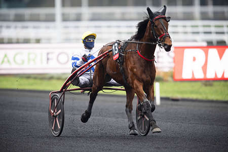 Actualités Hippiques